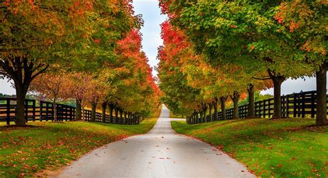 You Must See The Fall Leaves At These 10 Places In Kentucky