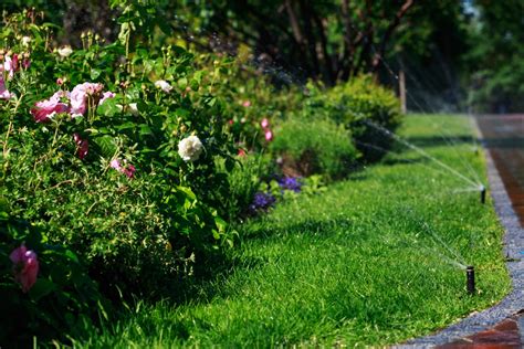Fertilize your lawn properly, and you'll be on your way to a healthy, dense stand of turf that maintains a deep apply fertilizer around the edge of the lawn first, and then move back and forth across the interior area in straight lines. Spring Lawn Care - Get Your Watering Tips Here | Swazy ...
