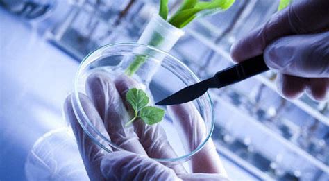 What is biotech? edit source. CBSE Biotechnology Class 12 Preparation Tips, Notes