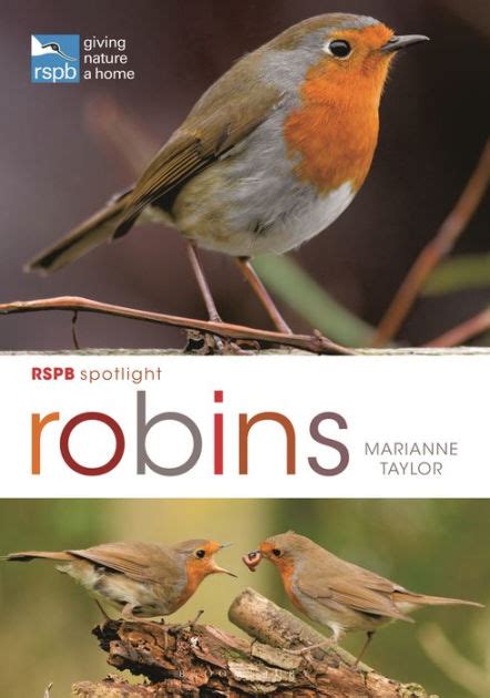 Rspb Spotlight Robins By Marianne Taylor Paperback Barnes And Noble®