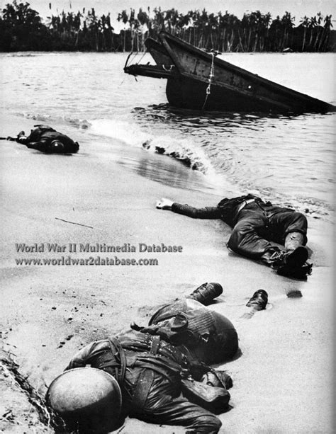 American Dead On Buna Beach The World War Ii Multimedia Database
