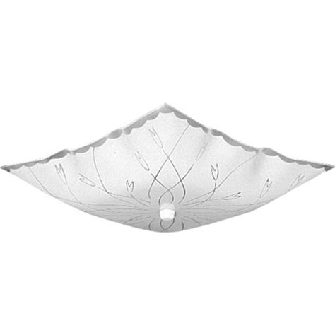 I have a 4 ft. Ceiling Light Cover: Amazon.com