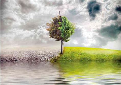 Contaminación de los ecosistemas - Escuelapedia - Recursos