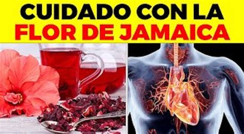 té de ¡hibisco jamaica laurel y canela ¿para qué sirve beneficios para tu salud y belleza