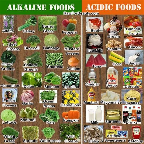List Of Alkaline Foods Work It Dance And Fitness