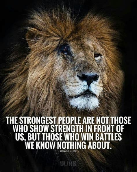 Pin By Mercedes Spencer On Words Of Wisdom Positive Quotes Lion