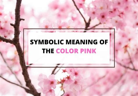 Pink In Culture Exploring Its Historical And Modern Meanings Symbol Sage