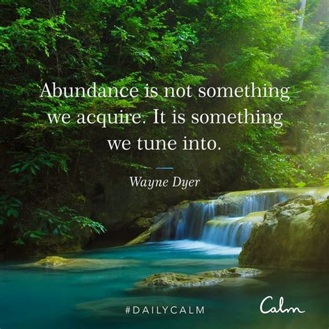 Daily Calm Quotes Abundance Is Not Something We Acquire It Is