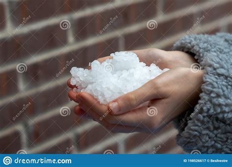 Young Woman Hands Holding Hailstones After A Storm Stock Image Image