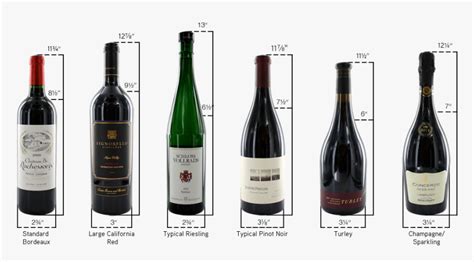 Average Size Of Wine Bottle Cm Best Pictures And Decription