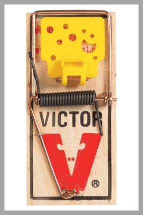 Victor Plastic Pedal Mouse Traps Pack