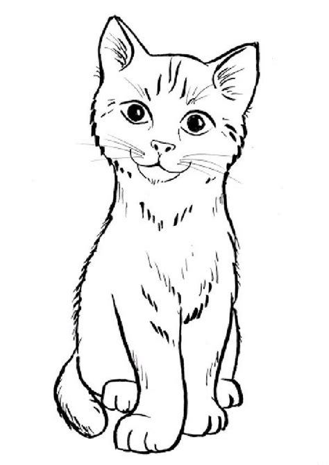 15 Best And Easy Way To Draw A Cat Drawing With Full Tutorial Cute