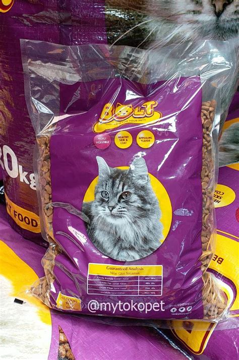 Makanan kucing terbaik & terlaris di malaysia! 10 Makanan Kering Kucing Terbaik di Tahun 2020