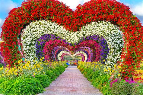 Miracle Garden Tickets 2021 [COVID-19 Updated]