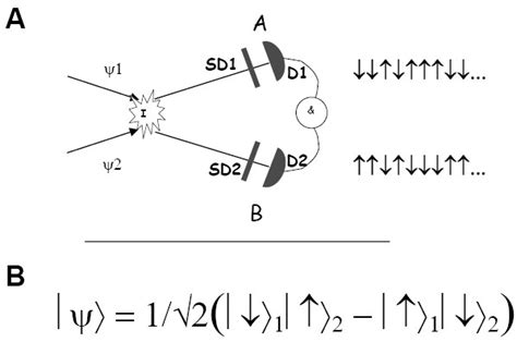 Quantum Entanglement A One Example Of System Setup To Observe Quantum