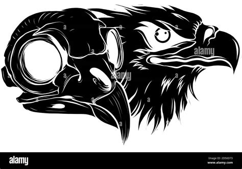 Black Silhouette Vector Bald Eagle Or Hawk Head Mascot Graphic Stock