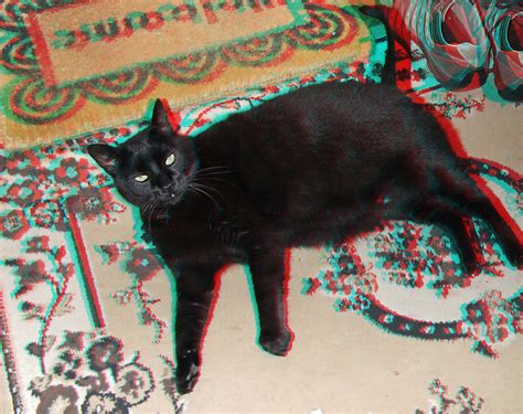 3d Redcyan Anaglyph Schwarzer Kater Black Cat Flickr