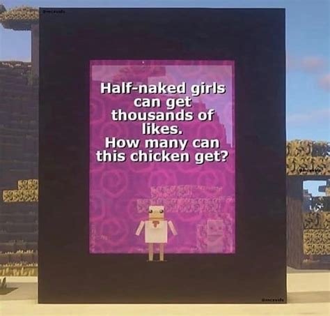 Cute Chicken Minecraft Know Your Meme