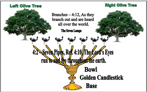 Viiia17 Who Are The Two Olive Trees Of Zechariah Four Bible