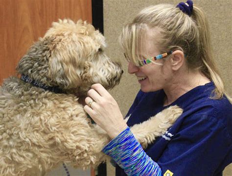 Many dog parents read more… Pet Resort: Overnight Stay - Conejo Valley Veterinary Hospital