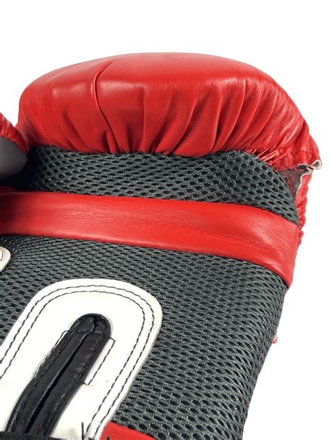 Everlast Pro Style Training Gloves Boxing Glove 16oz Ebay