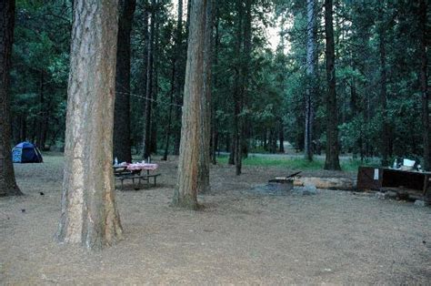 Typical Upper Pines Campsite