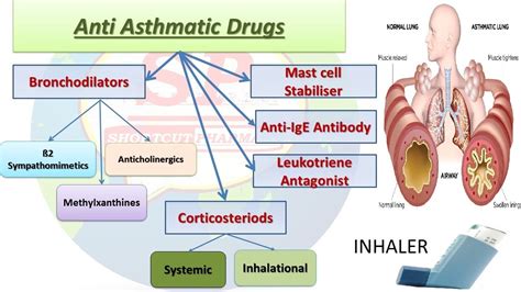 Anti Asthmatic Drugs Pharmacology Classification Simple Trick Mnemonics Youtube