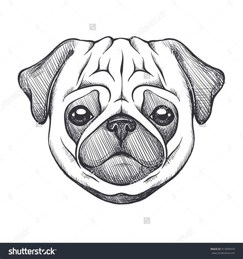 Z Stock Vector Cute Pug Portrait Of Dog In