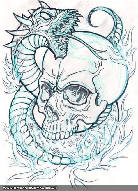 Vector Serigrafia Skull And Snake Pencil Line Art Skull
