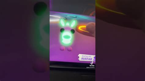 Making A Neon Donkey In Adopt Me Youtube