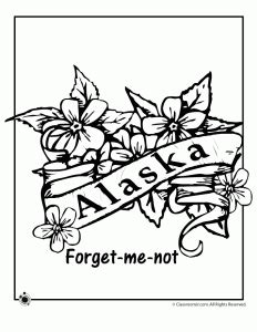 Roses, daisies, tulips and more flower coloring pages and sheets to color. State Flower Coloring Pages | Flower coloring pages, Coloring pages, Vintage flowers