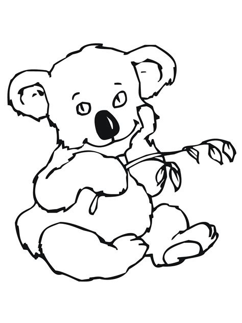 koala bear coloring  koala bear coloring