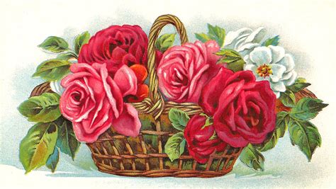 Antique Images Free Red Rose Clip Art Flower Basket Full Of Red Pink And White Roses