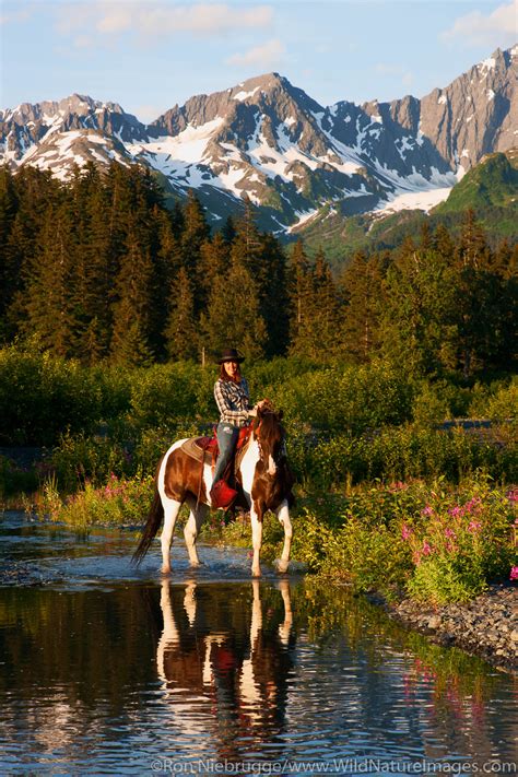 Horseback Riding Seward Alaska Photos By Ron Niebrugge
