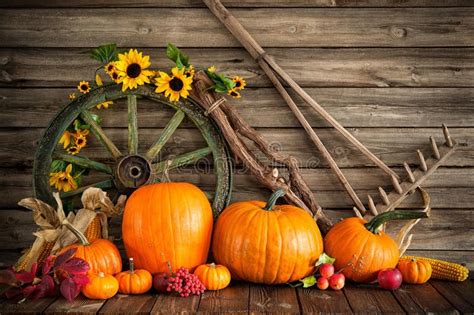 Thanksgiving Autumnal Still Life With Pumpkins Stock Photos Rustic
