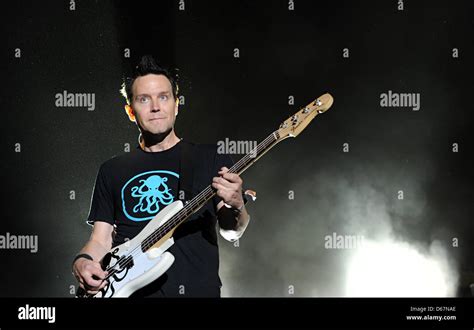 us punk band blink 182 s bassist mark hoppus performs on stage during the hurrican festival in