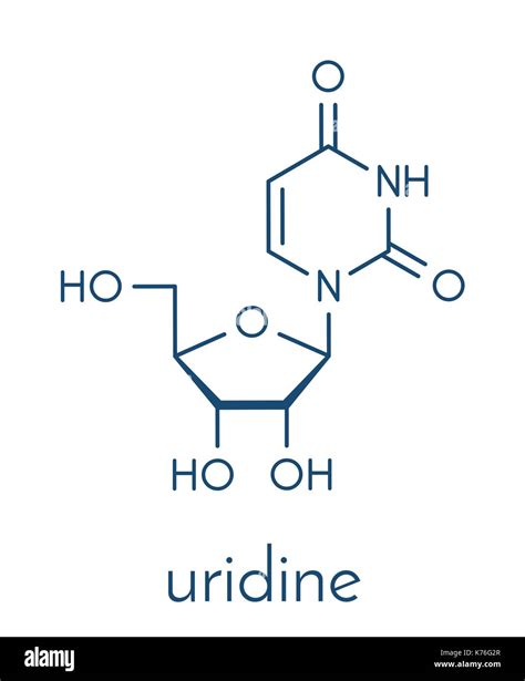 Uridine Nucleoside Molecule Building Block Of RNA Skeletal Formula