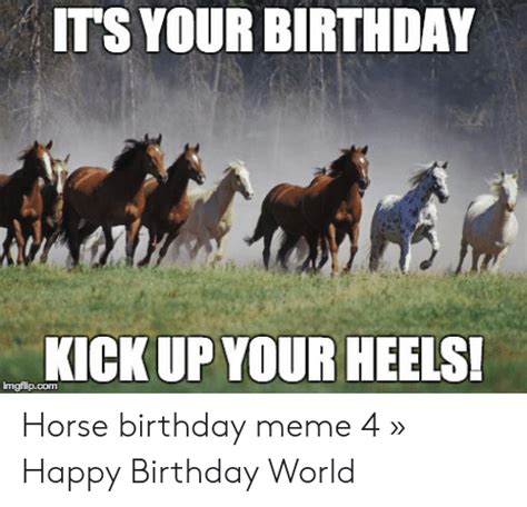 Its Your Birthday Kick Up Your Heels Horse Birthday Meme 4