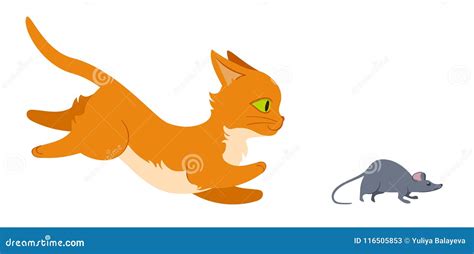 Mouse Running From Cat Stock Vector Illustration Of Grey 116505853
