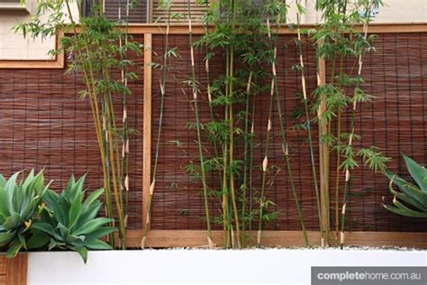 Building Your Outdoor Sanctuary Garden Features Completehome