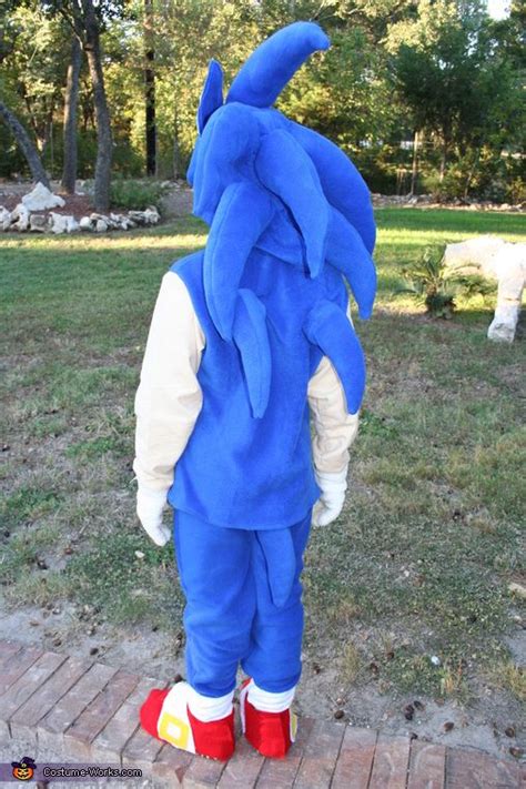 Sonic The Hedgehog Halloween Costume Contest At Costume Works Com Artofit