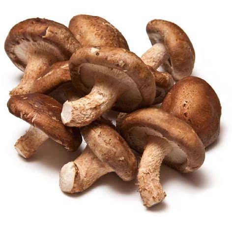 Herbs Shiitake Mushroom Dry 1 Kg Herbs World Limited