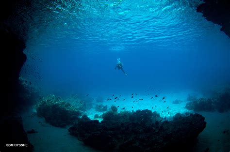Curacao Scuba Diving The Famous Blue Room The 1 Snorkeling Spot On