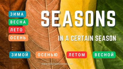 Basic Russian 3 Seasons Expressing In A Certain Season Youtube