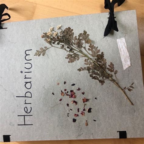 Herbarium Für Pka Lap In 4813 Altmünster Für € 7000 Zum Verkauf