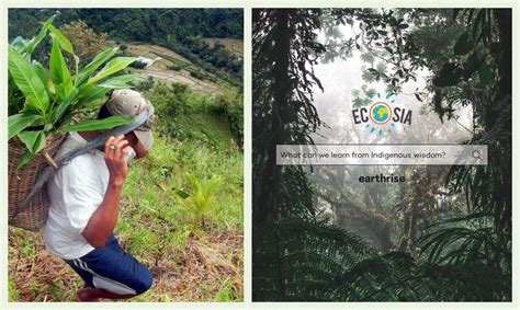 Ecosia Is Now Planting Abaca And Other Native Trees In The Philippines FreebieMNL