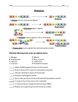Using the genetic code chart fill in the amino acids for each dna strand. DNA Replication, Transcription, and Translation Practice Worksheet