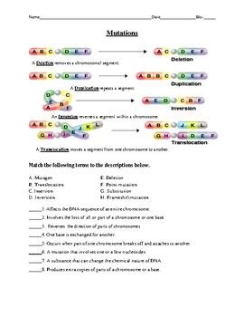 Transcription uses a strand of dna as a template to build a molecule called rna. DNA Replication, Transcription, and Translation Practice ...