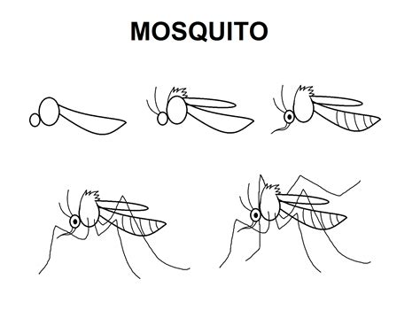 Mosquitos Science In Storytime
