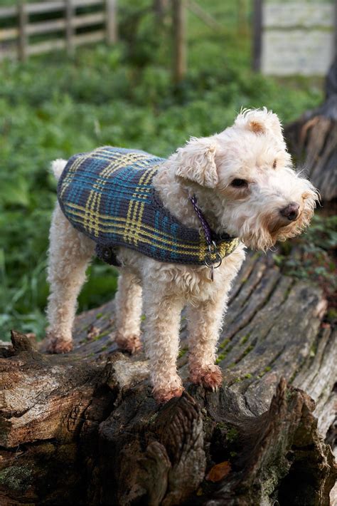 Your pattern download will be sent via email. Vintage Dog Coat With Plaid Design Knitting Pattern | The ...